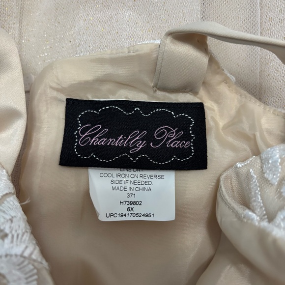 Chantilly Place 6x Flower Girl Beige Dress - Picture 4 of 8